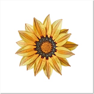 Yellow Gazania African Daisy Flower Posters and Art